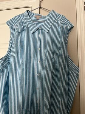 Woman Within Blue and White Striped Button-Down Shirt